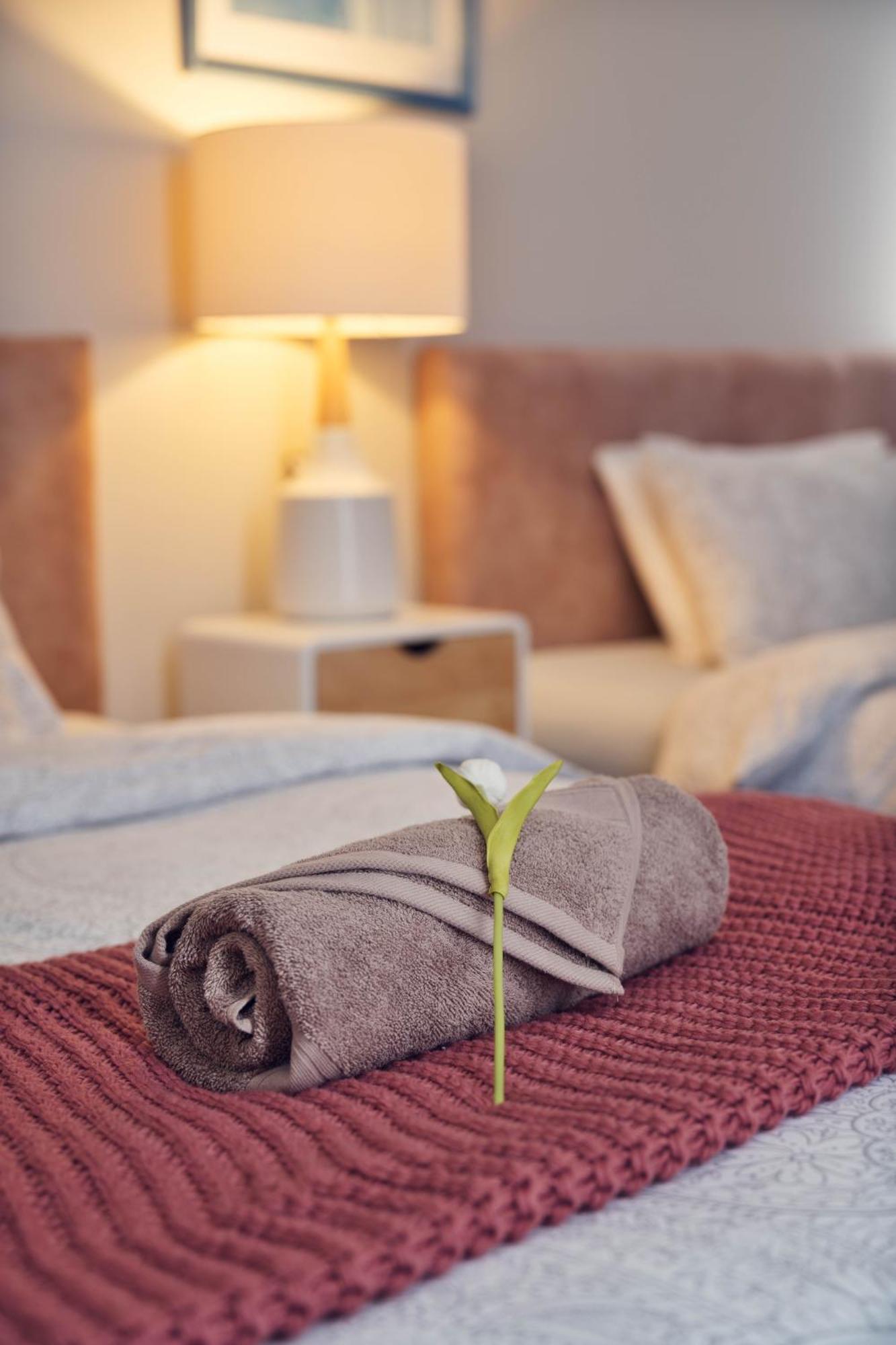 Alpaca Manor Auckland Apartman Kültér fotó